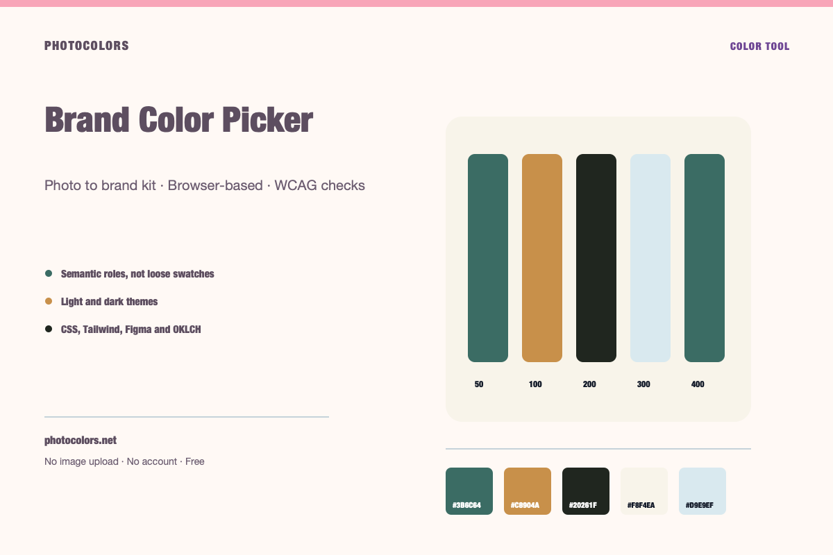 A primary brand swatch surrounded by semantic roles for action, surface, text and status colors